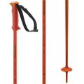 Salomon Polar Ski Poles 2026