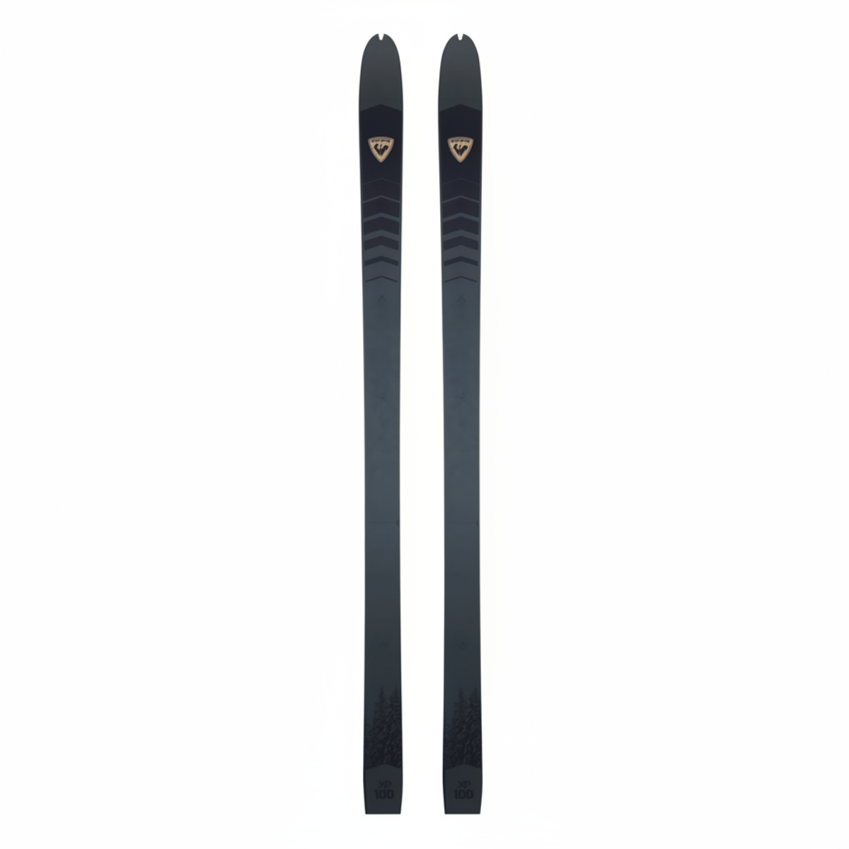 Rossignol XP 100 Positrack Cross Country Skis 2023