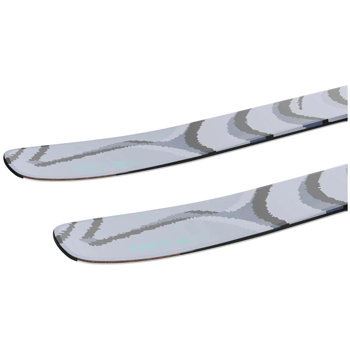 Salomon QST 100 Skis 2027