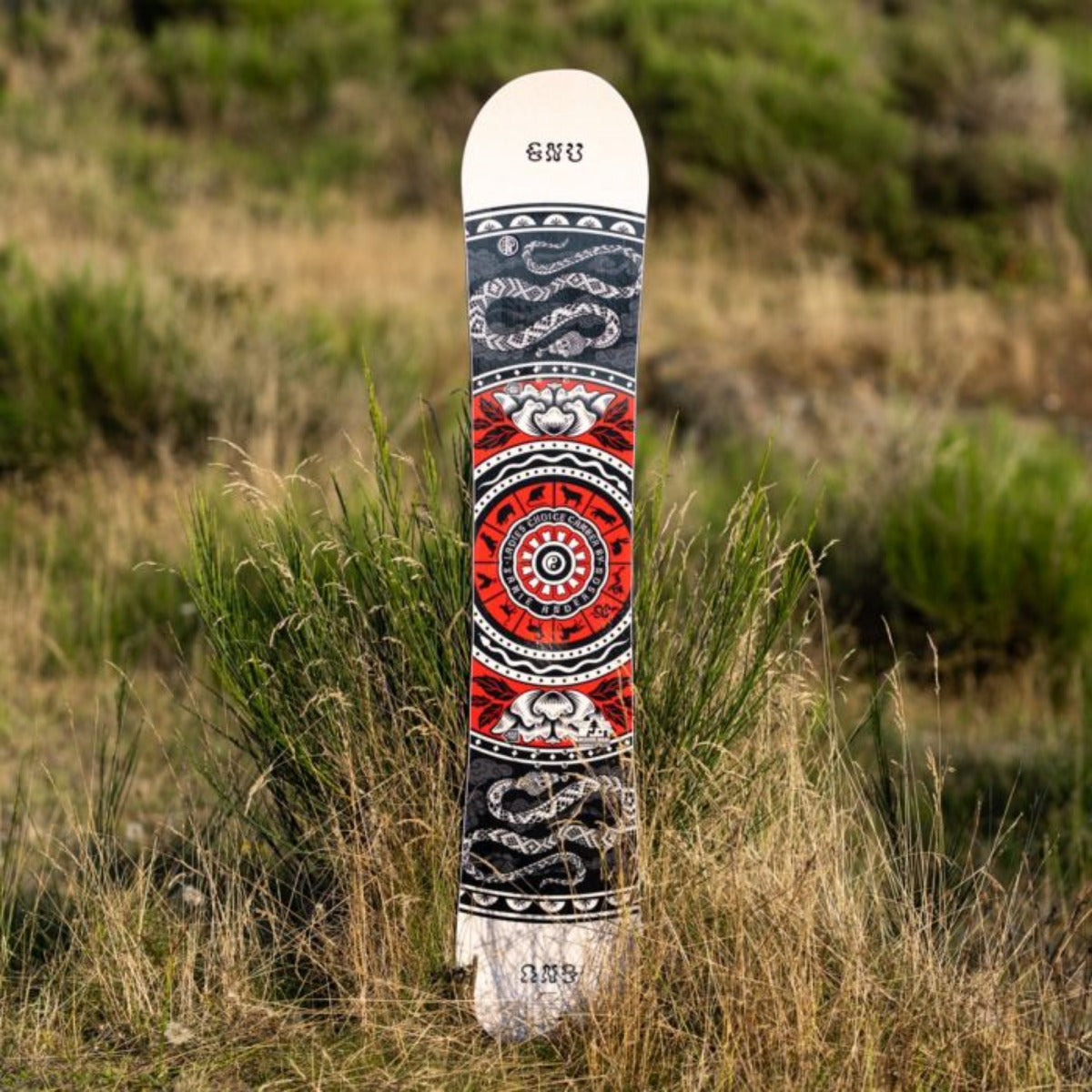 GNU Ladies Choice Snowboard 2026