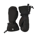 Hestra Army Leather Extreme Mitt 2026