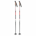 Alpina ST Snowflake Ski poles 2022