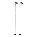 Fischer BC Offtrack Cross Country Poles 2023