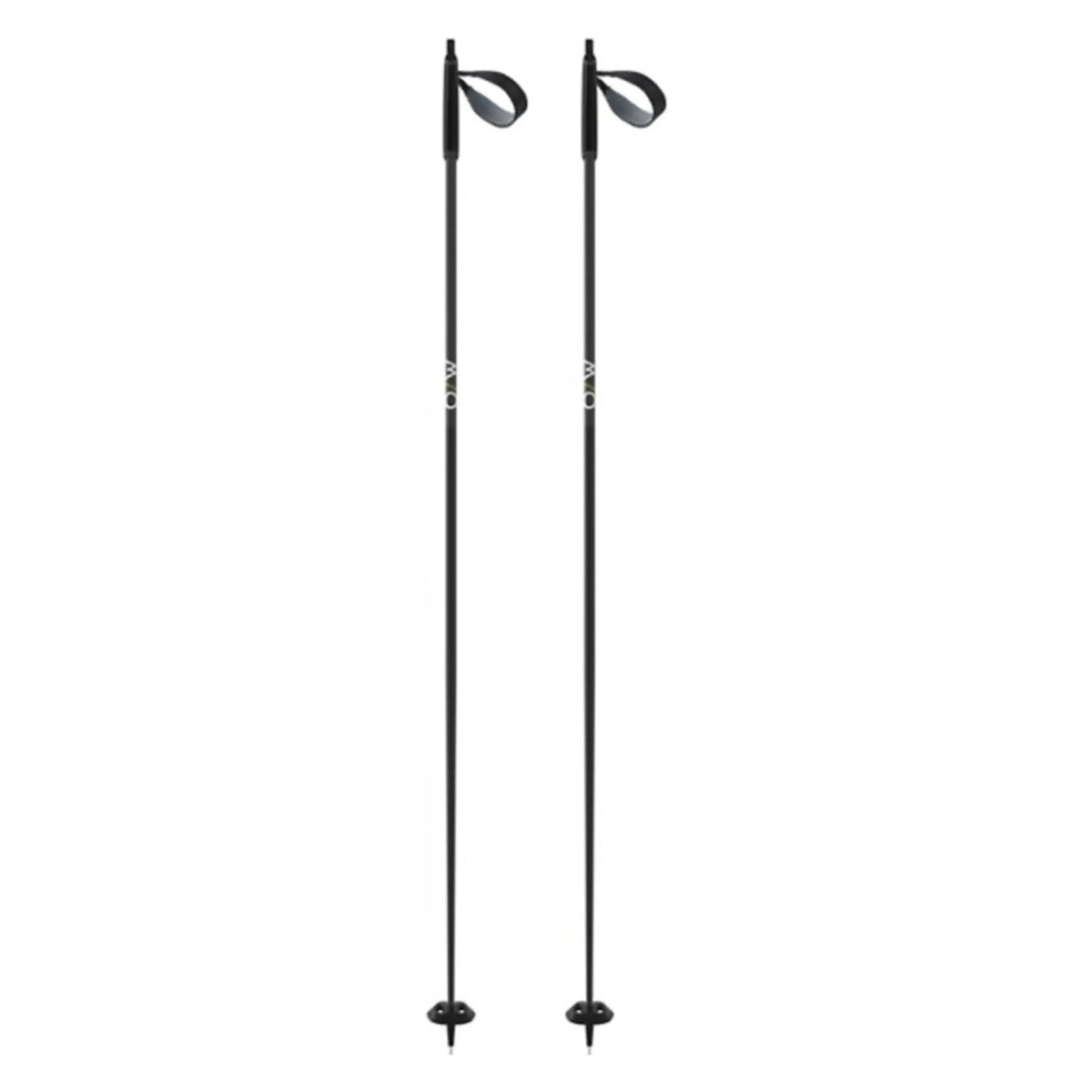 Fischer BC Offtrack Cross Country Poles 2023