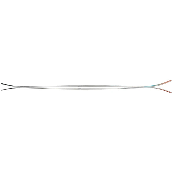 Nordica Santa Ana 102 Skis 2026