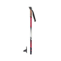 Alpina ST Plus Poles