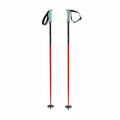 Volkl Phantastick Ski Poles 2026